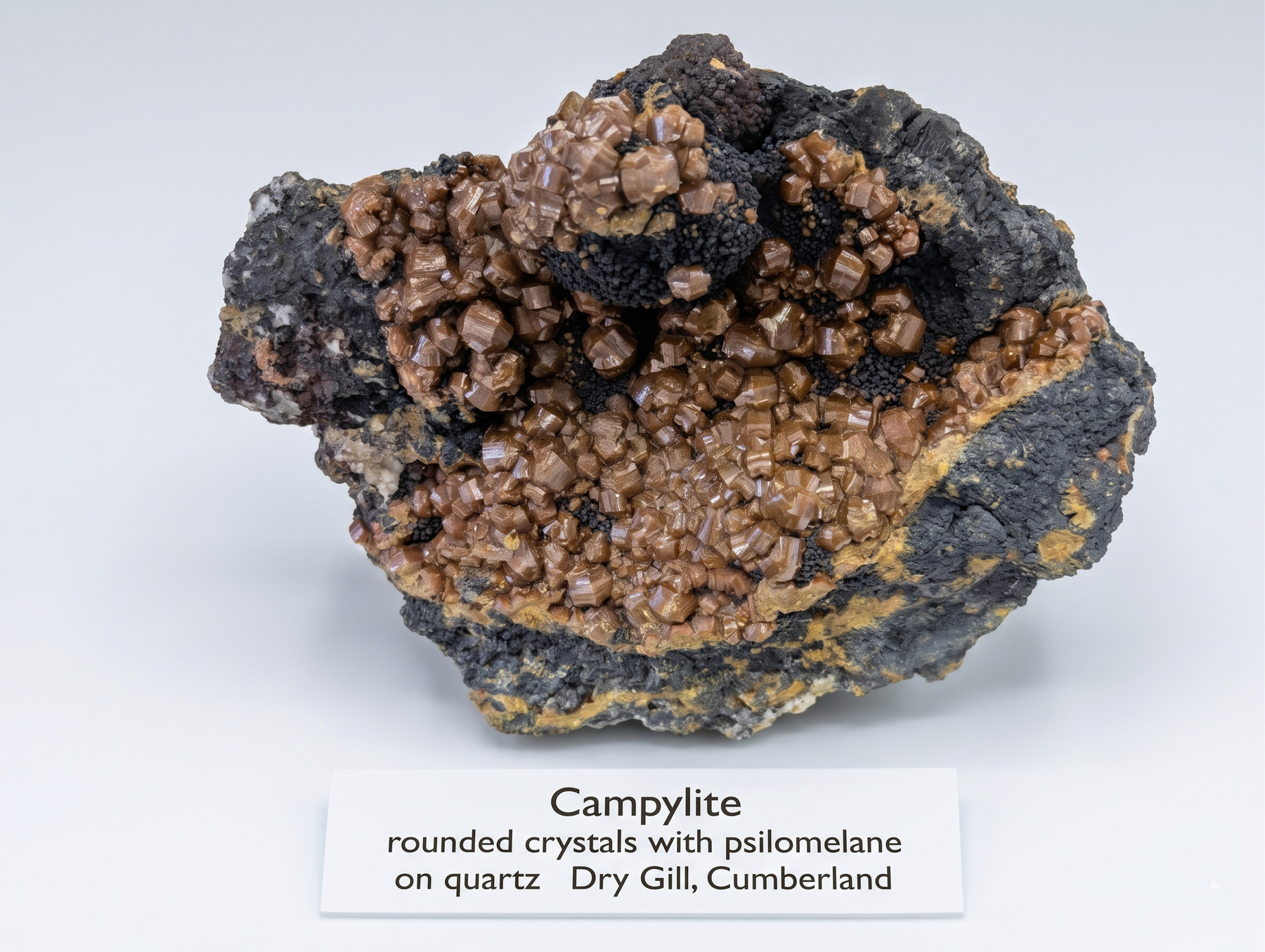 Dry Gill, Campylite